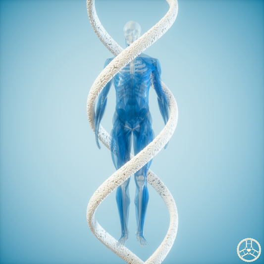 Love DNA Repair – RIFE & Plasma Light Therapy Session