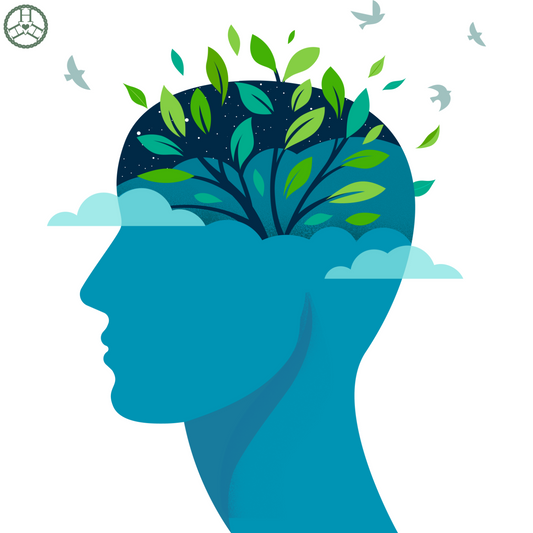 Mental Acuity – RIFE & Plasma Light Therapy Session